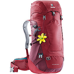 Deuter Rucksack