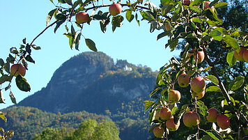 Brannenburg